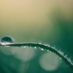 Hello World Featured Image